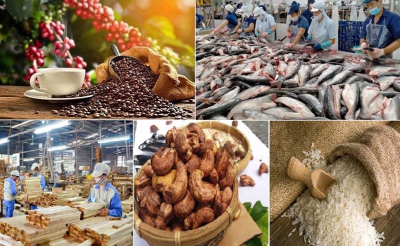 xuất khẩu 2025 về những ngành được ưa chuộng